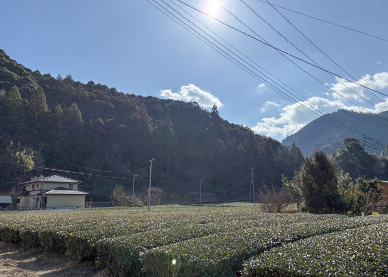 1990s wood house on a large plot in Matsusaka Kahada