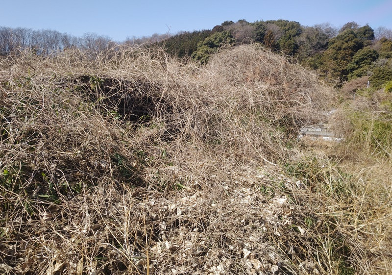 1990s wood house, 18-min walk to station, Saitama