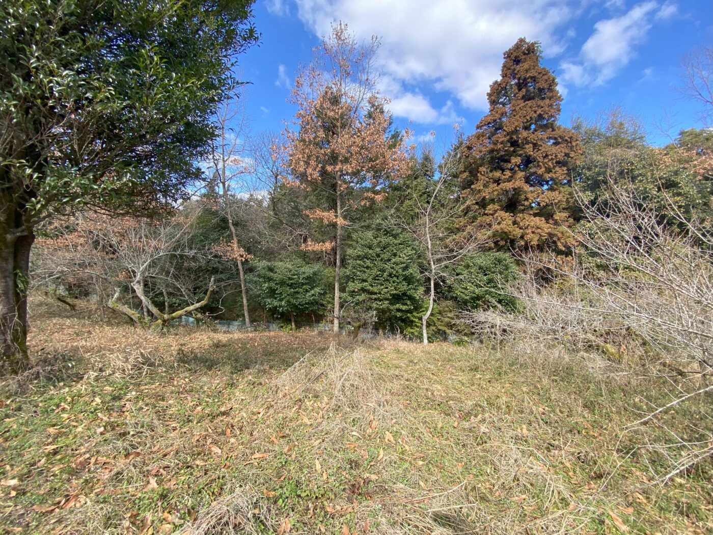 House on a large plot in Fukuoka