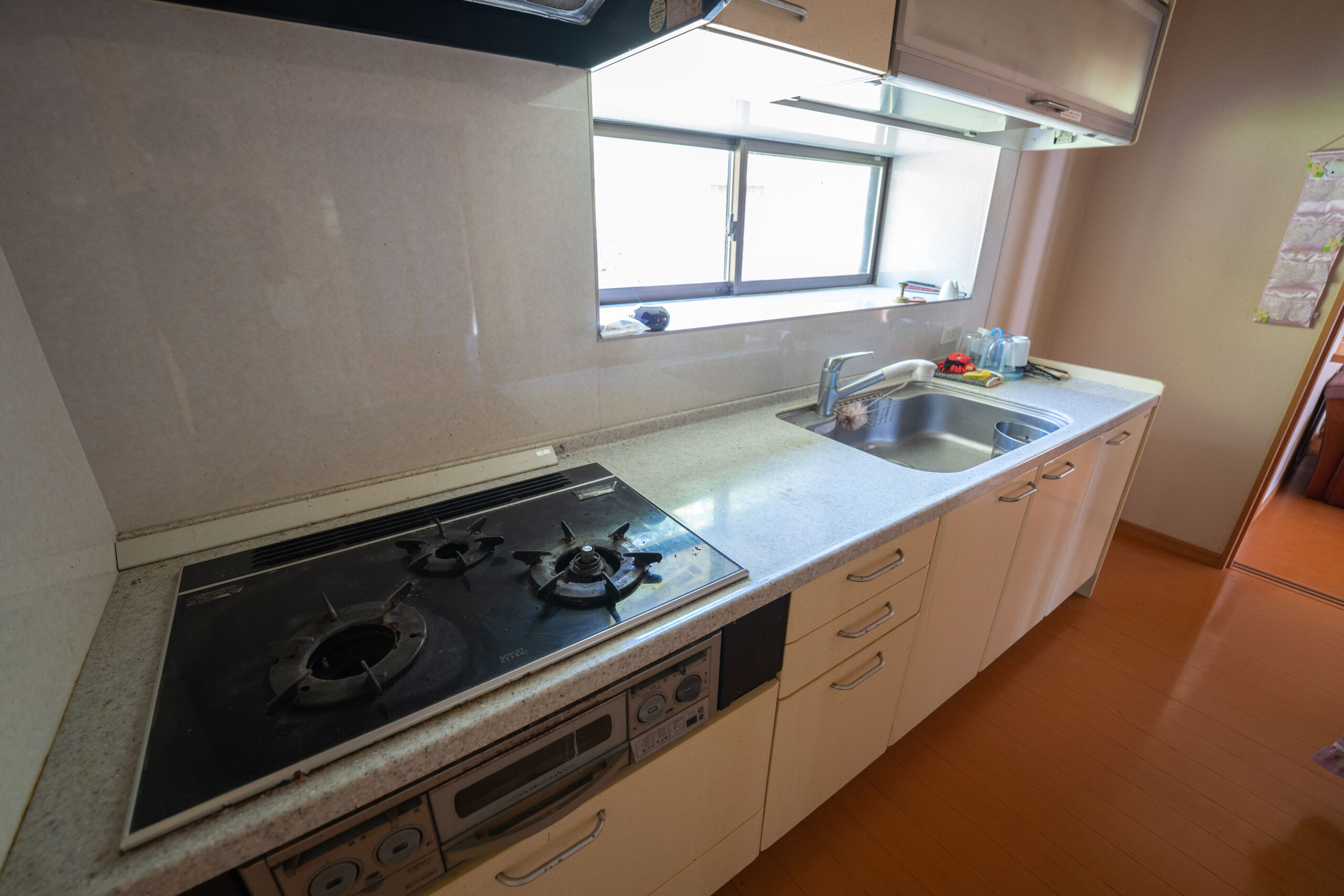 1960s house in Toyama