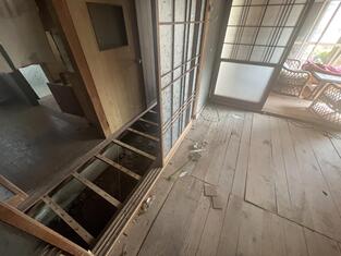 House in Kochi