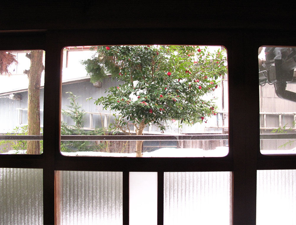 Wood house in Shiga