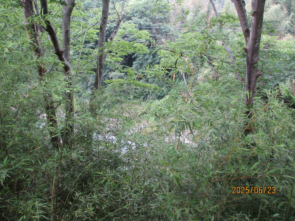 Wood house, 14-min walk to station, Gunma