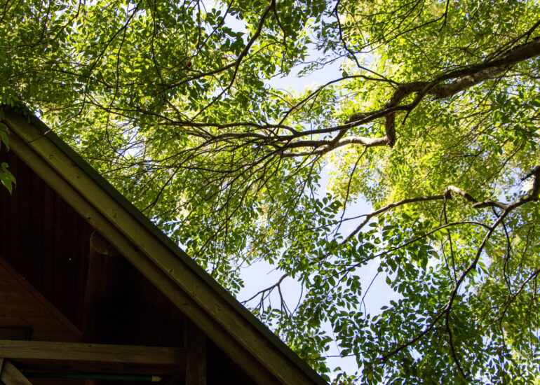 2000s wood house in Matsusaka Kahada