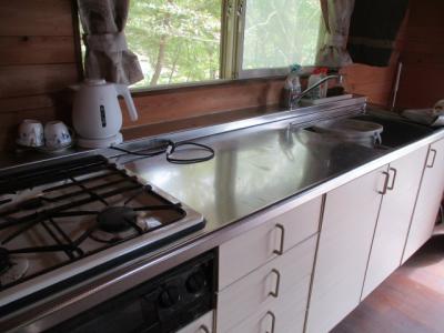 Vacation Home Near Ski Resort Built in Cleared Mountain Woodland