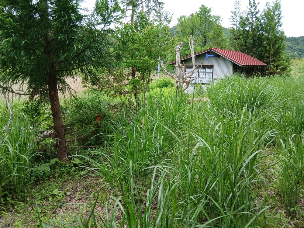 Wood house, 12-min walk to station, Iwate
