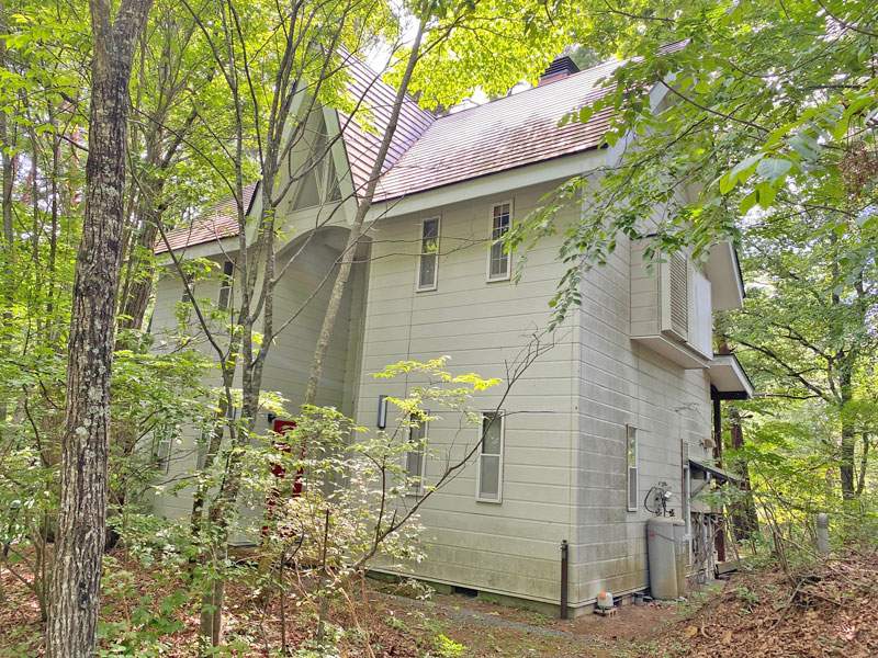 1990s wood house on a large plot in Nagano