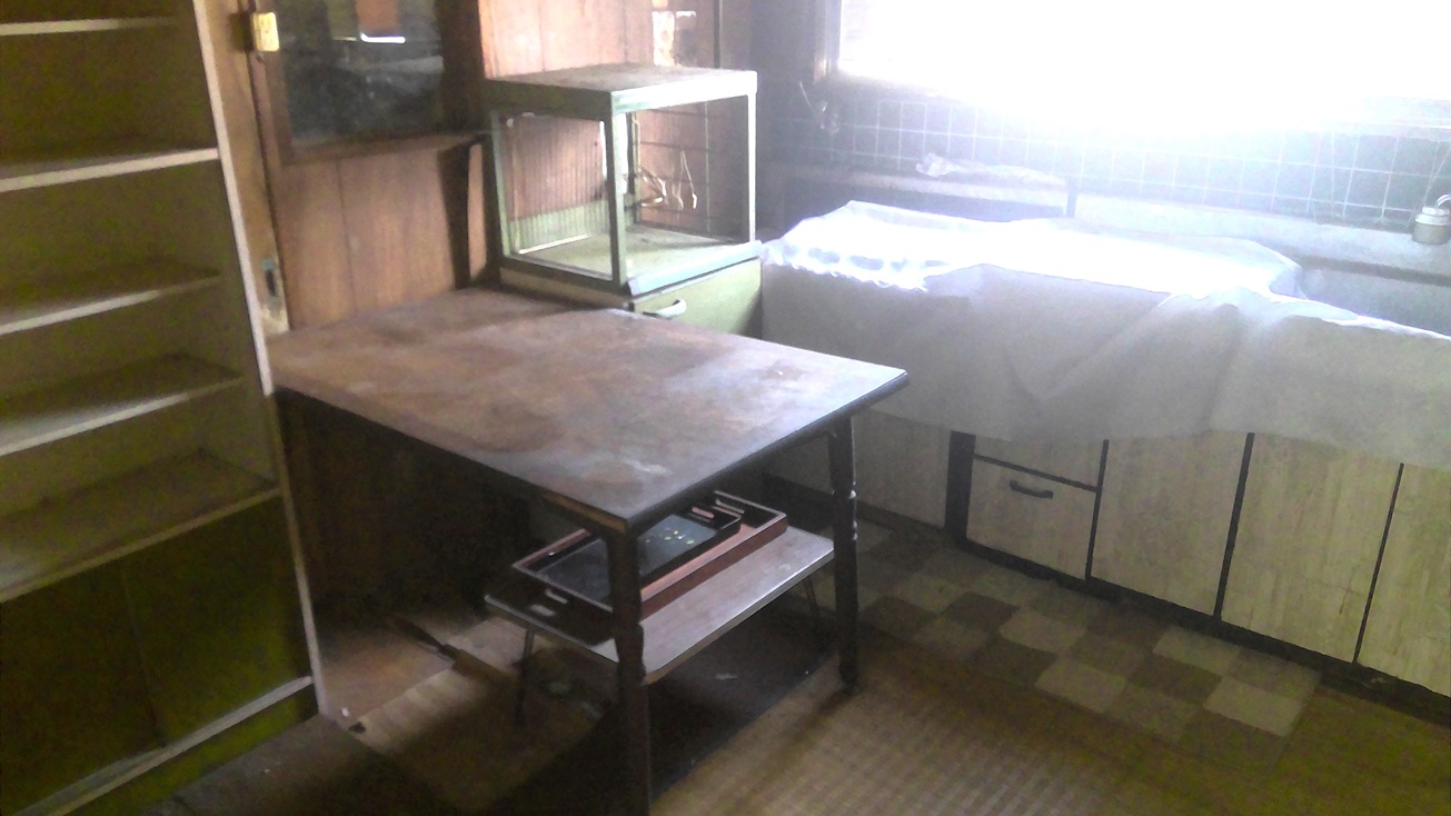 1970s house in Koyama, Kimotsuki, farmland, approval needed