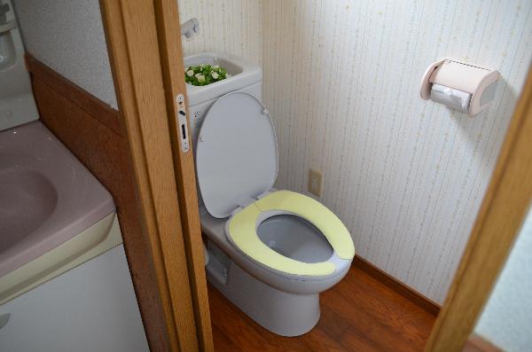 2000s wood house in Hyogo