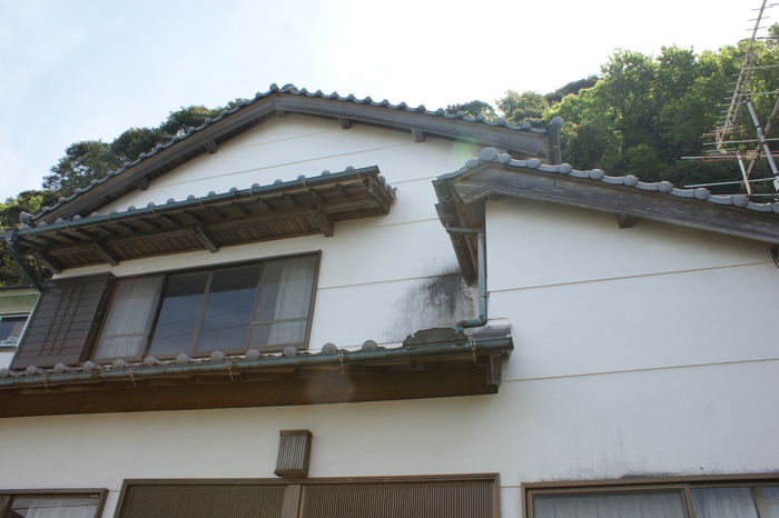 Wood house in Kochi