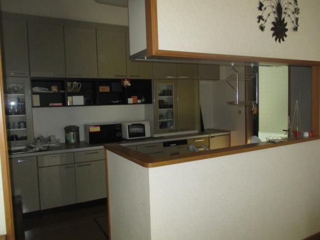 1990s steel-frame house in Kasaoka