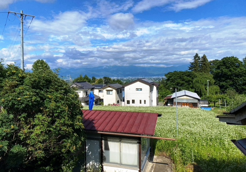 Wood house on a large plot in Nagano