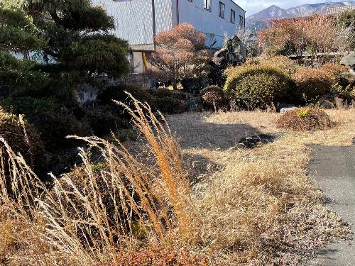 Property 29 (Fukuoka Ward)