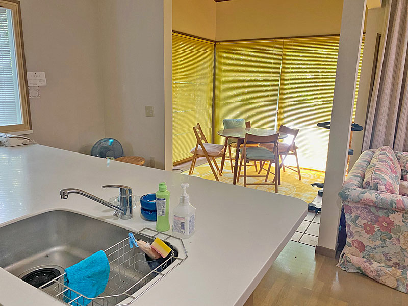 1990s wood house on a large plot in Nagano