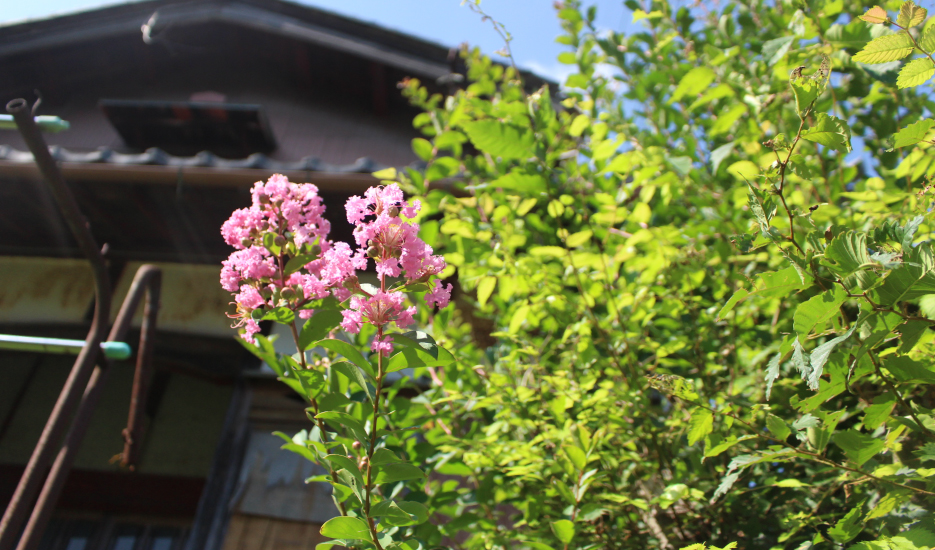Wood house in Shiga
