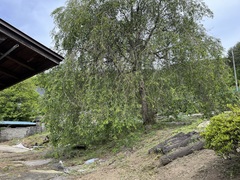 1950s wood house in Nagano