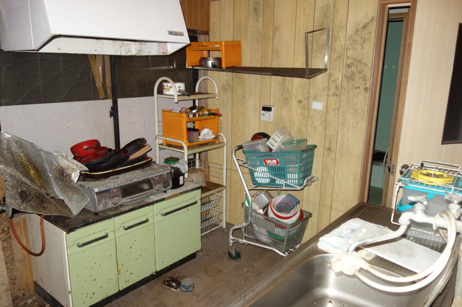 1950s wood house on a large plot in Nagasaki
