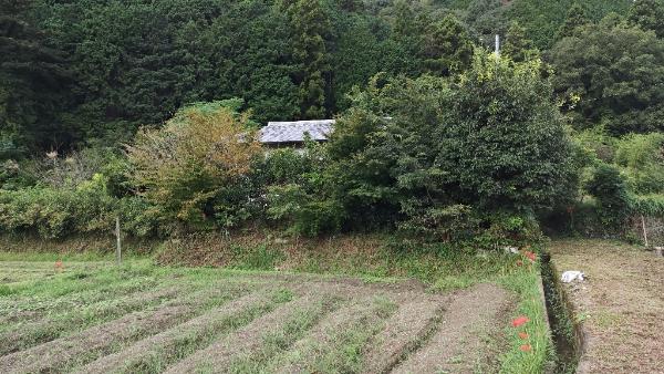 1980s wood house in Hyogo