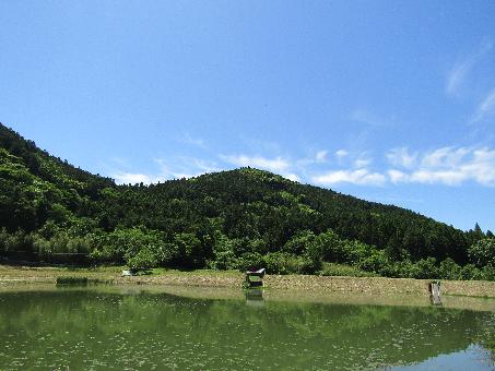 1980s wood house in Oita