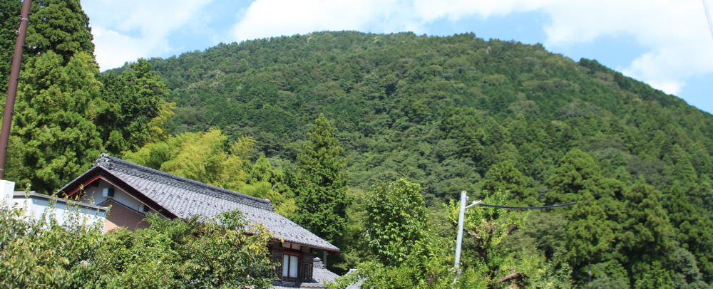 Wood house in Shiga