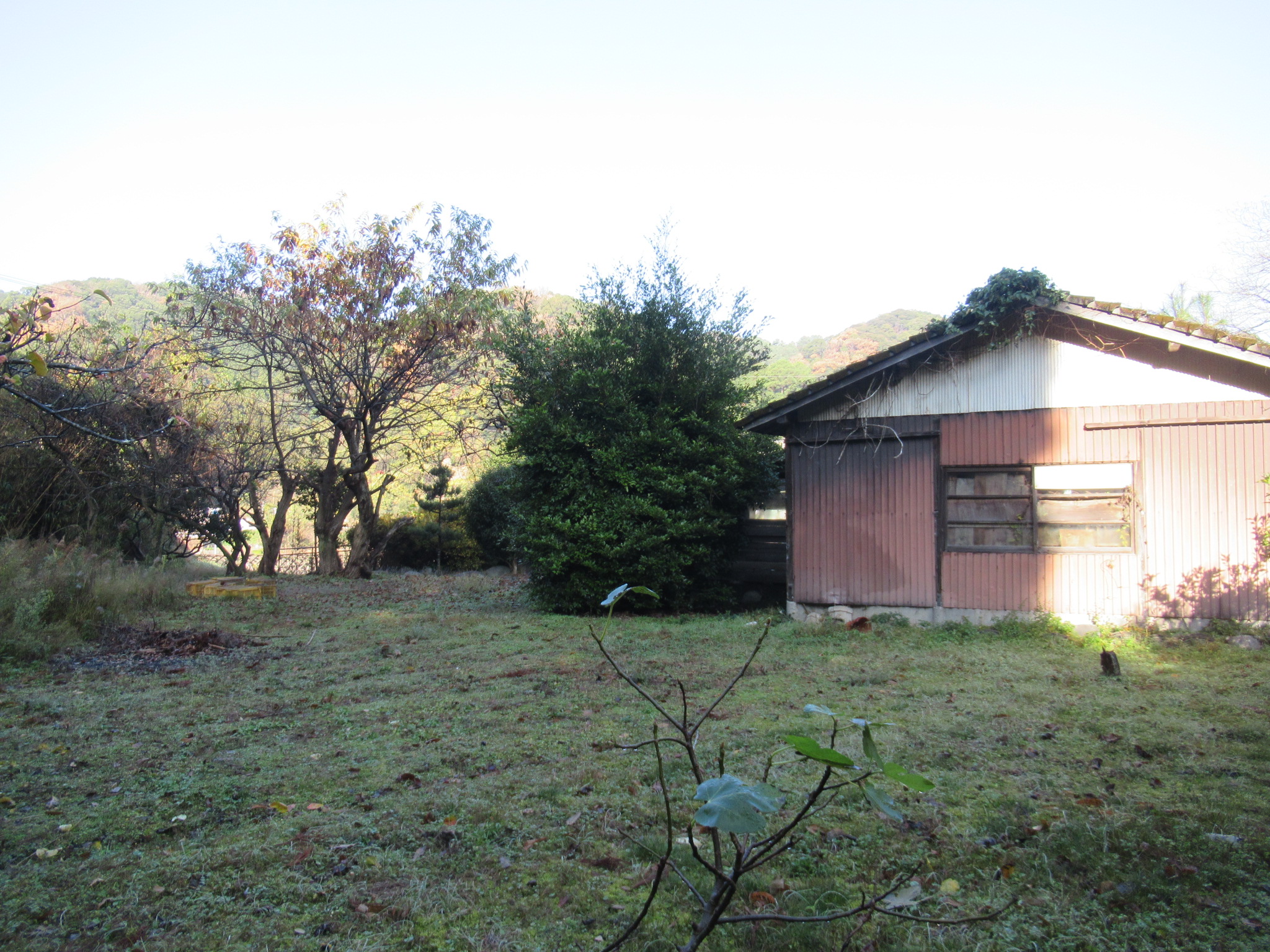 1970s wood house, 8-min walk to station, Kumamoto