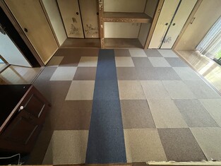 House in Kochi