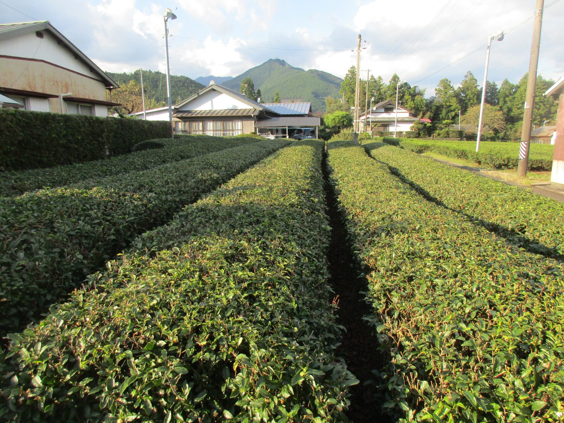 1920s wood house on a large plot in Shizuoka