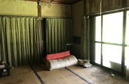 1960s wood house on a large plot in Tokushima