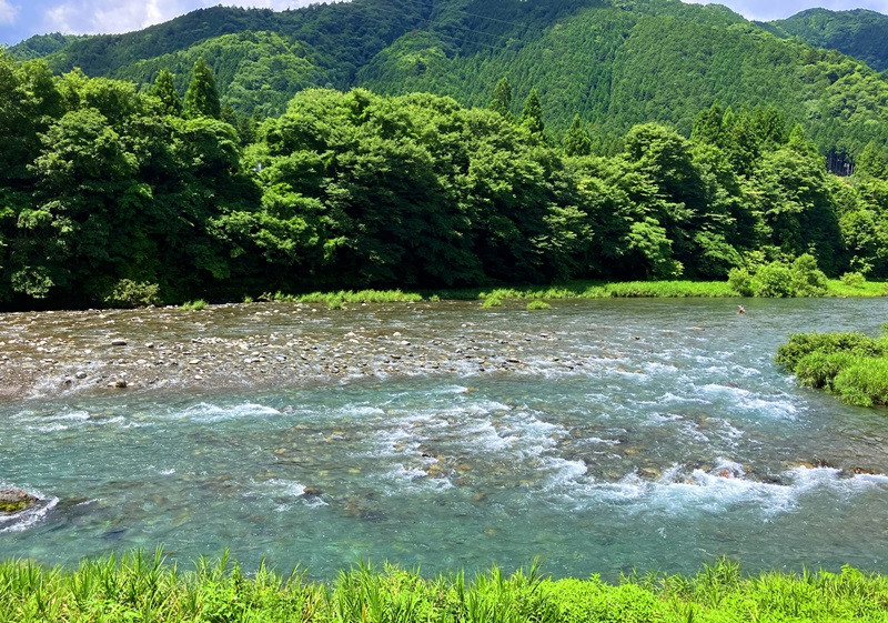 Wood house, 10-min walk to station, Gifu