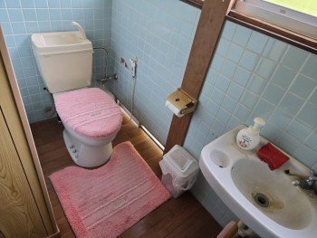 1970s wood house in Kaseda, Minamisatsuma, farmland, approval needed
