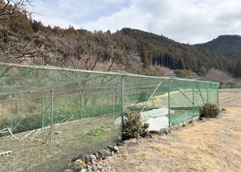 1960s wood house on a large plot in Matsusaka Kahada