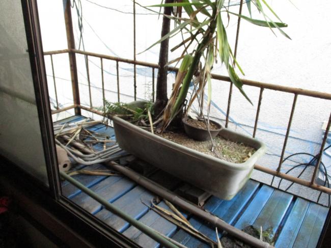 1950s wood house, 15-min walk to station, Okayama