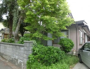 1960s wood house in Niigata