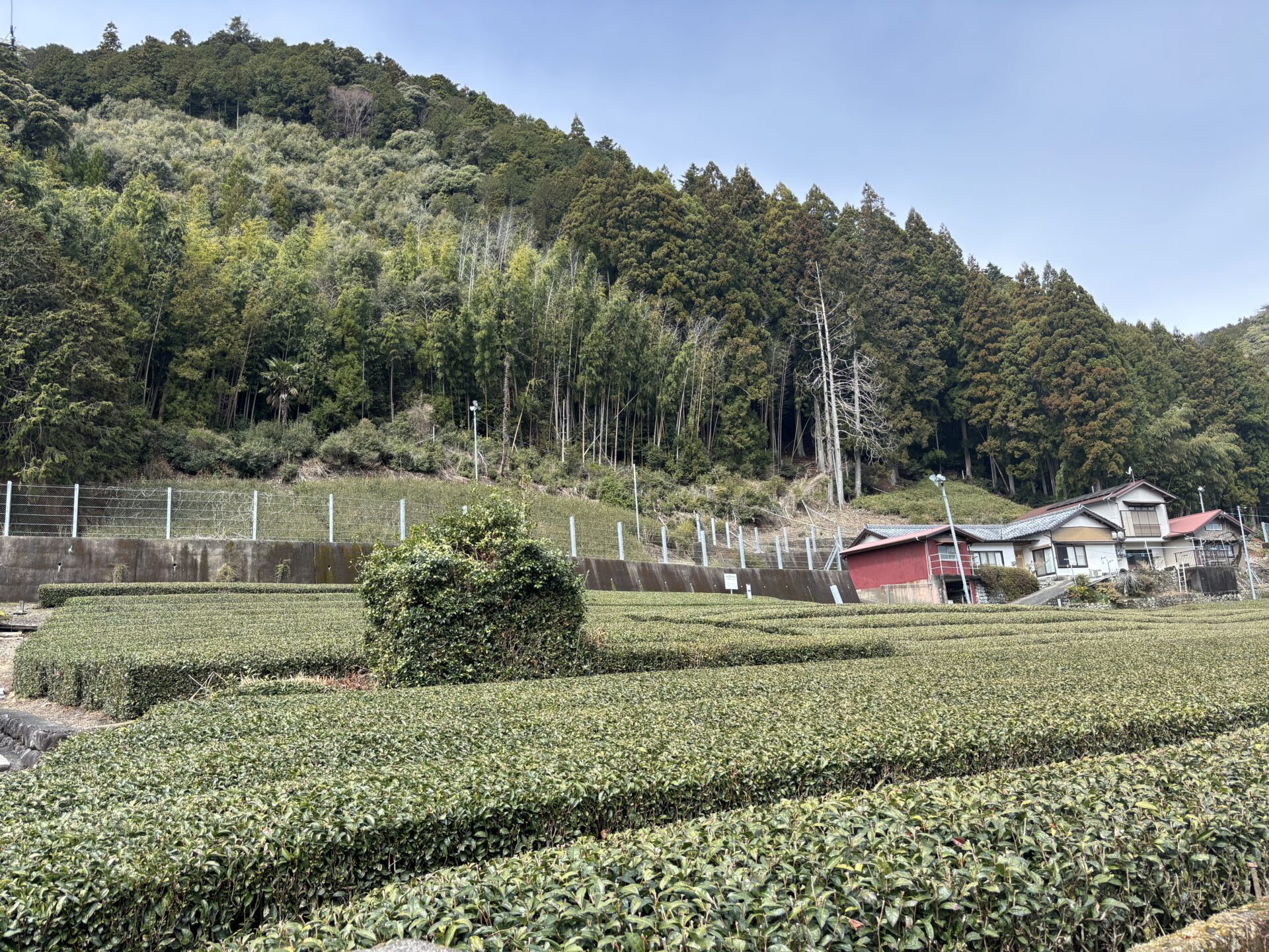 1970s wood house in Shizuoka