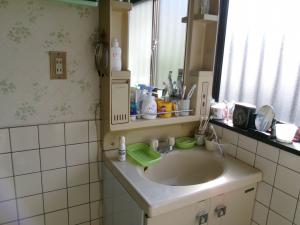 1990s wood house on a large plot in Gunma
