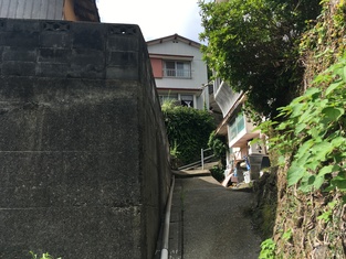 House in Kochi