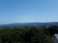 1980s wood house in Shizuoka