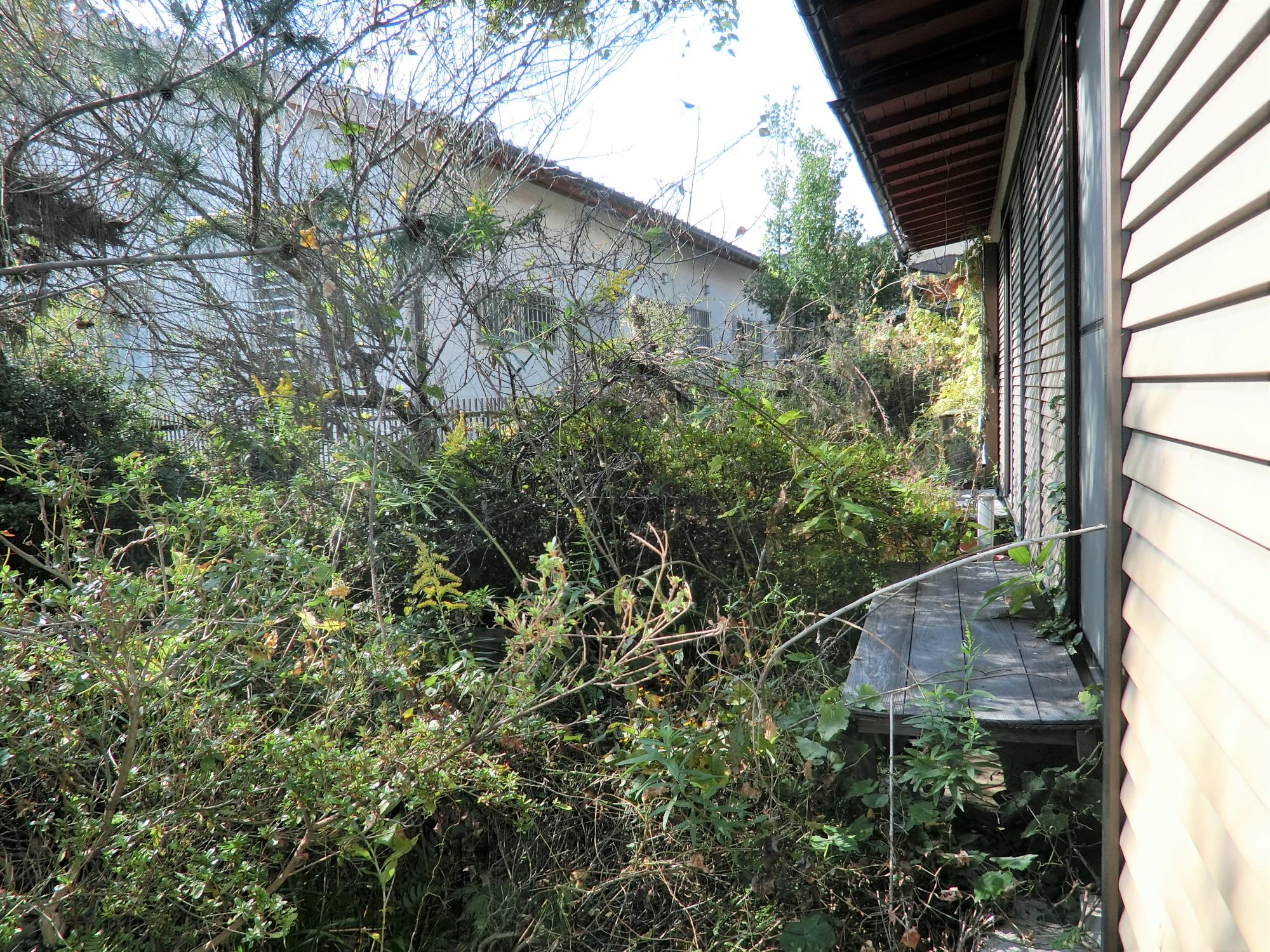 1960s wood house in Fukuoka