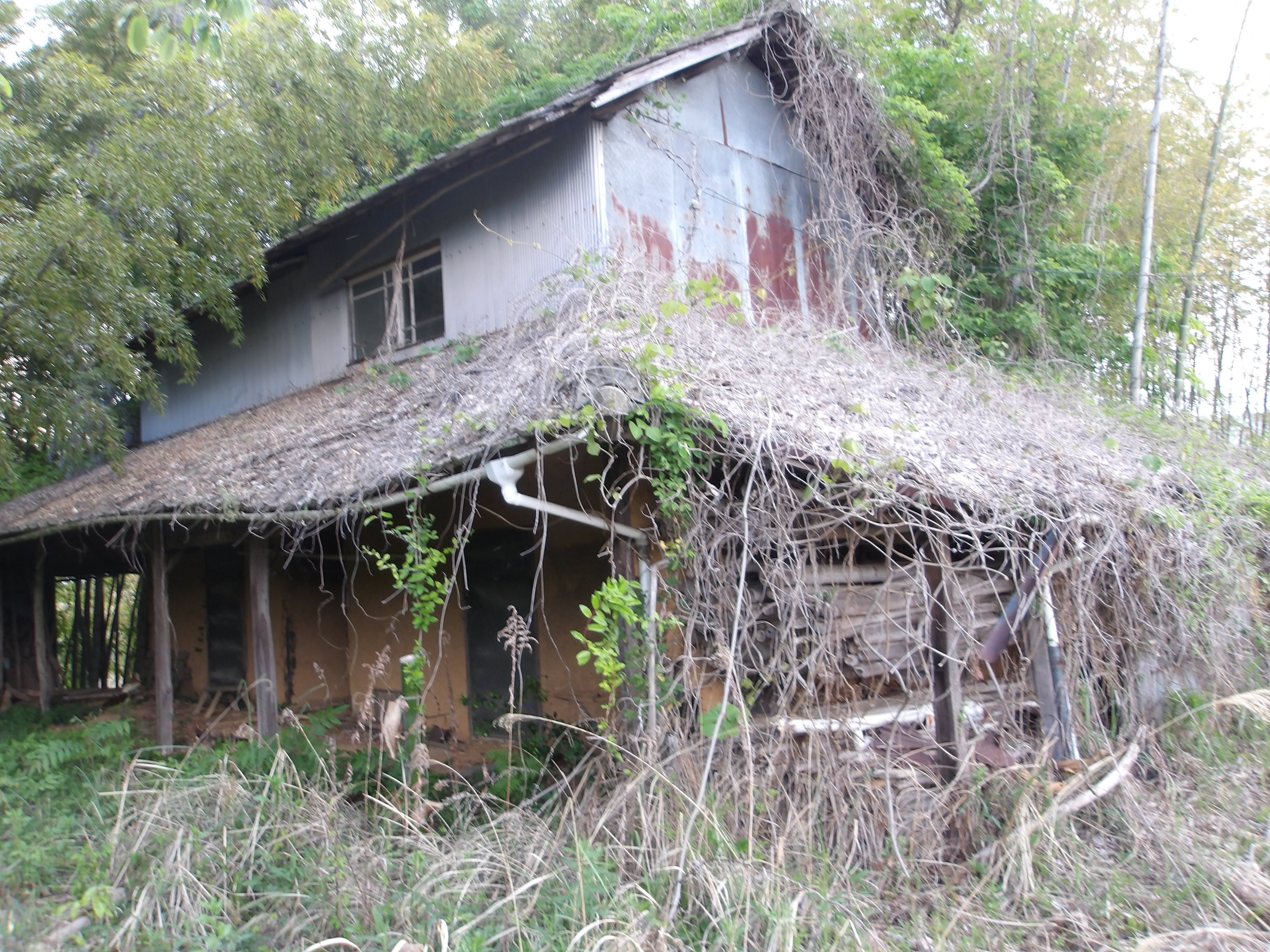 1950s wood house in Okayama