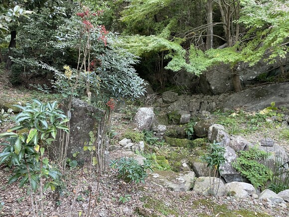 Wood house in Tokushima
