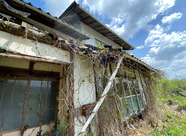 Wood house in Shimane