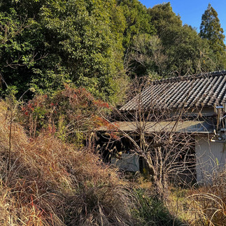 1980s wood house on a large plot in Mie