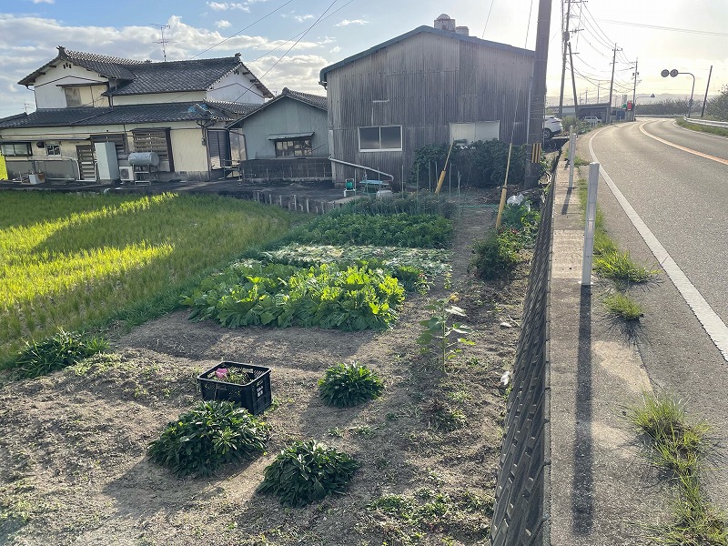 1960s wood house on a large plot in Saga