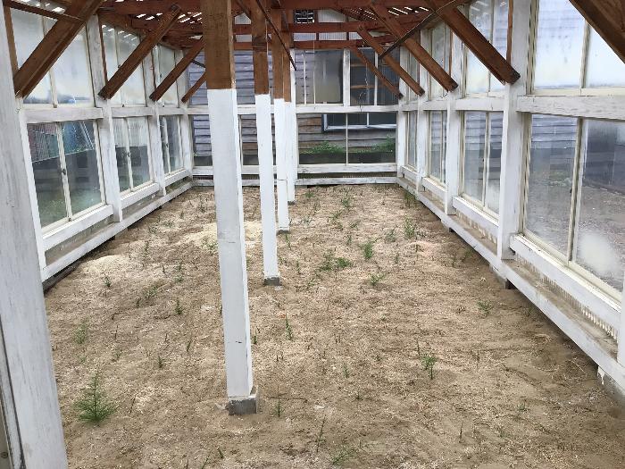 Empty home in Japan
