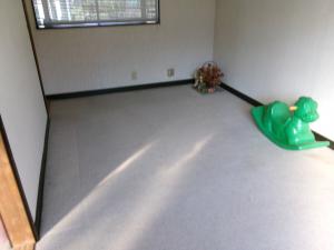 1990s wood house on a large plot in Gunma