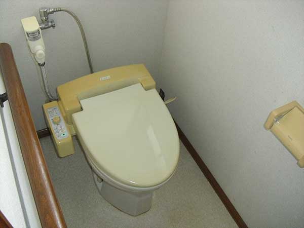 1990s wood house in Iwate
