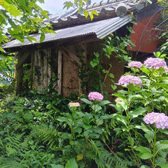 1920s wood house on a large plot in Mie