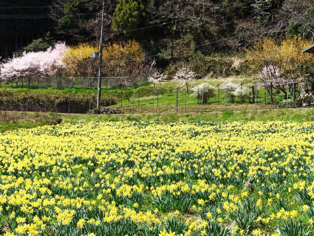 House with outbuildings in Nara