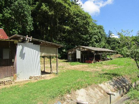 1980s wood house in Oita