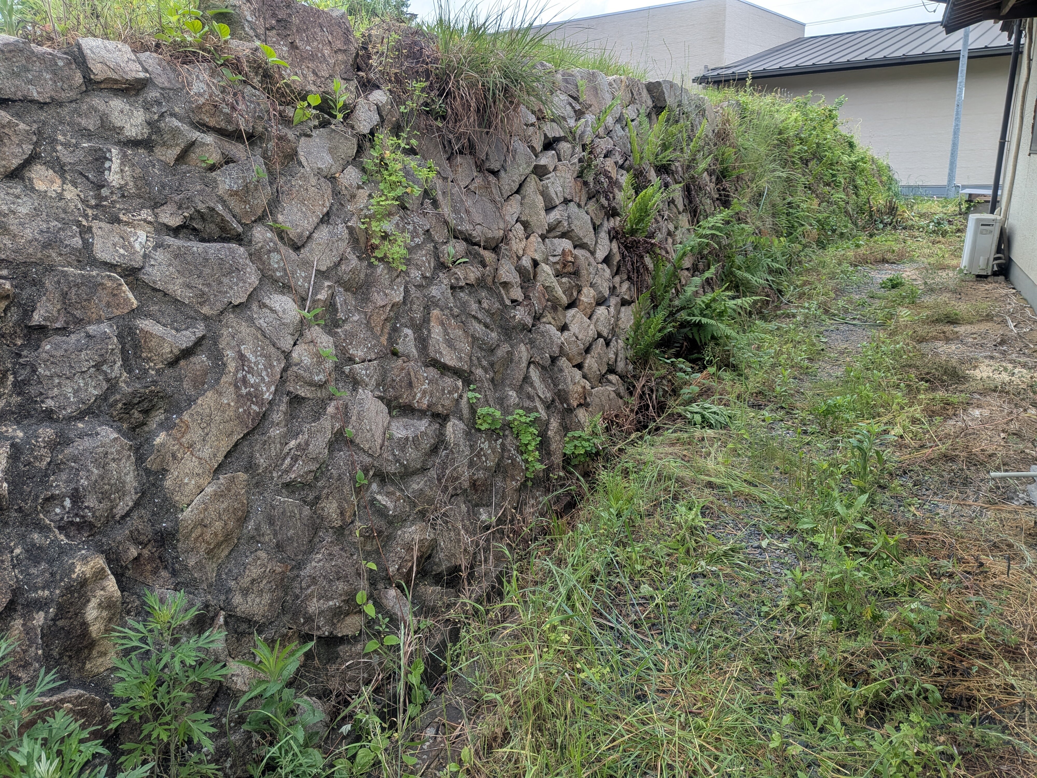 1990s wood house in Okayama